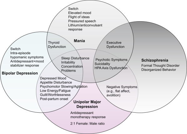 Bipolar Disorder's Nature