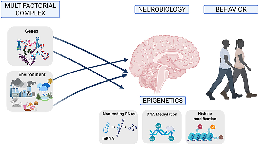 heredity